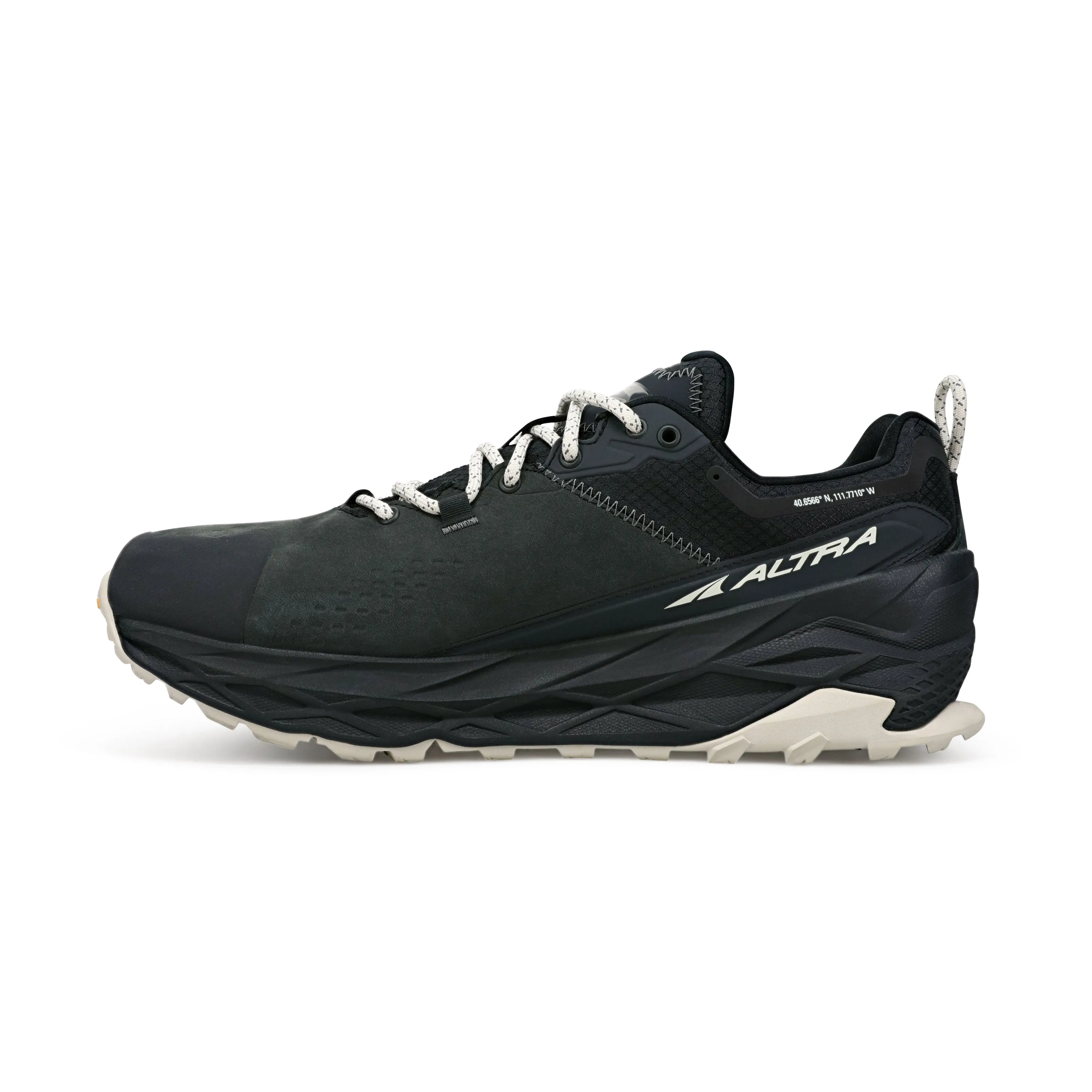 Men's Olympus 5 Hike Low GTX