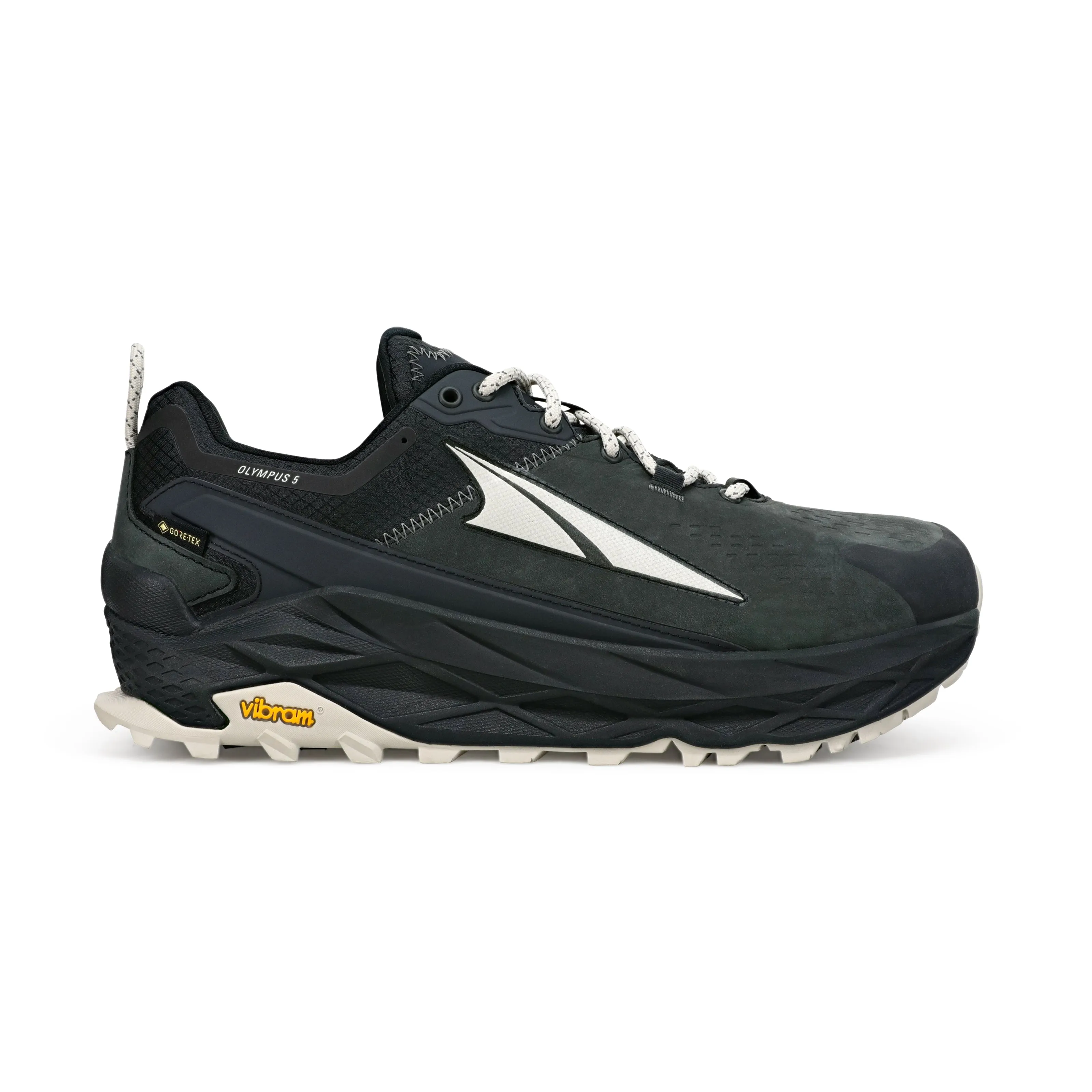 Men's Olympus 5 Hike Low GTX